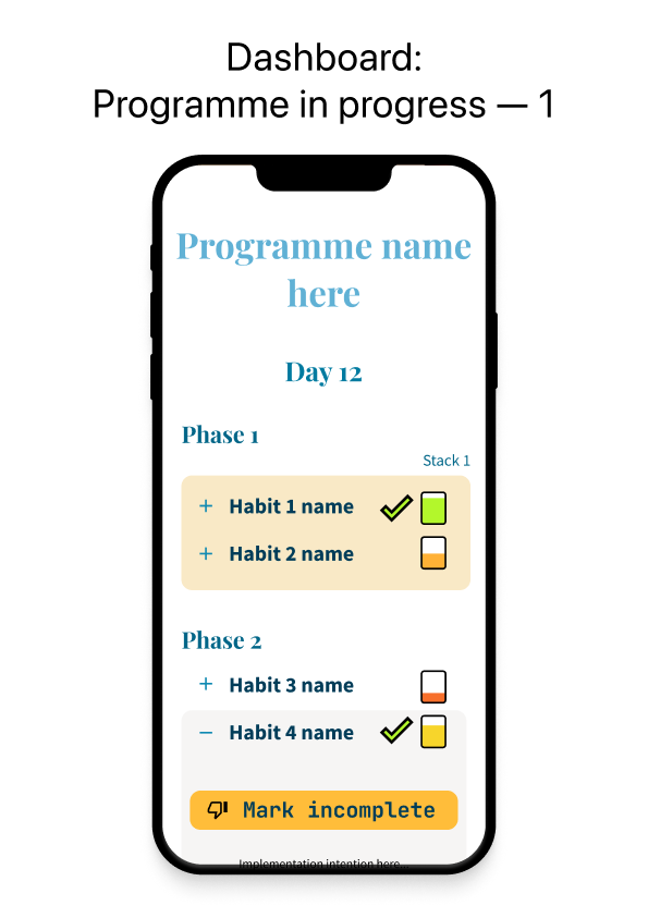 Programme in progress screen